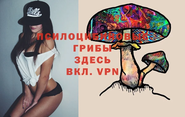 a pvp Вязники