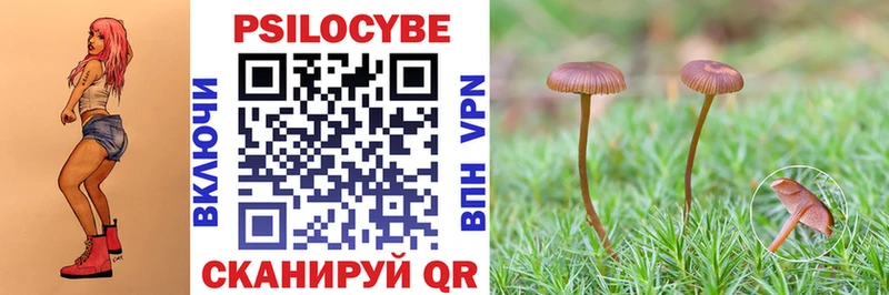 Псилоцибиновые грибы Psilocybine cubensis  hydra как войти  Зеленоградск 