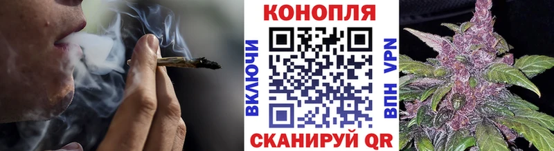 Канабис семена  купить наркоту  ссылка на мегу ONION  Зеленоградск 